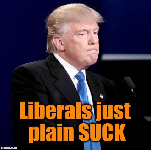 Donald speaks | Liberals just plain SUCK | image tagged in trump,twitter | made w/ Imgflip meme maker
