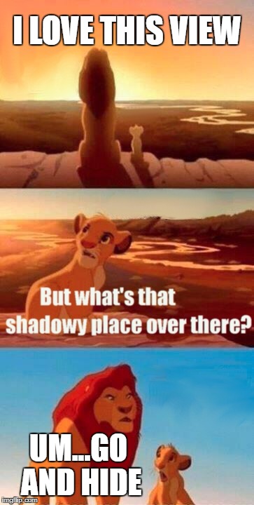 Simba Shadowy Place | I LOVE THIS VIEW; UM...GO AND HIDE | image tagged in memes,simba shadowy place | made w/ Imgflip meme maker