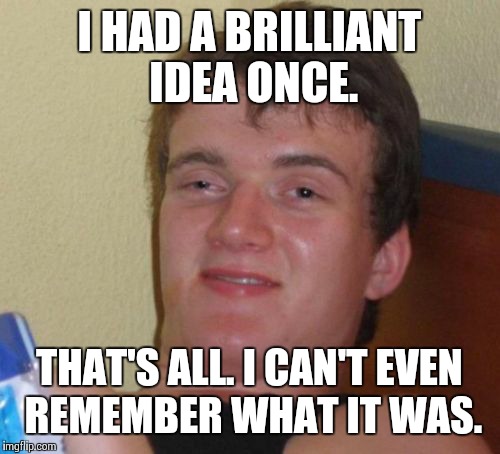 10 Guy Meme | I HAD A BRILLIANT IDEA ONCE. THAT'S ALL. I CAN'T EVEN REMEMBER WHAT IT WAS. | image tagged in memes,10 guy | made w/ Imgflip meme maker