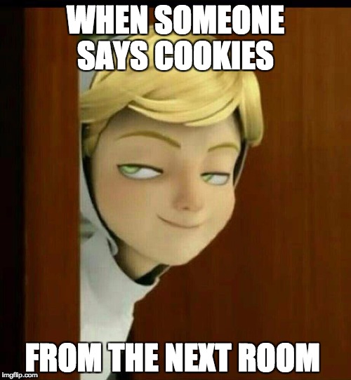 WHEN SOMEONE SAYS COOKIES; FROM THE NEXT ROOM | image tagged in cookie,adrienagreste | made w/ Imgflip meme maker