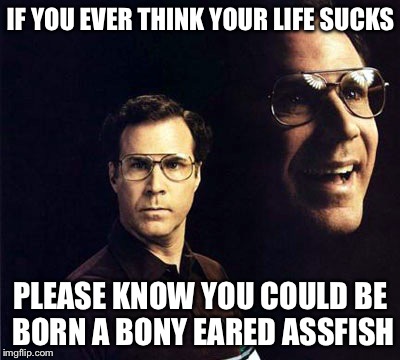 Will Ferrell Meme | IF YOU EVER THINK YOUR LIFE SUCKS; PLEASE KNOW YOU COULD BE BORN A BONY EARED ASSFISH | image tagged in memes,will ferrell | made w/ Imgflip meme maker