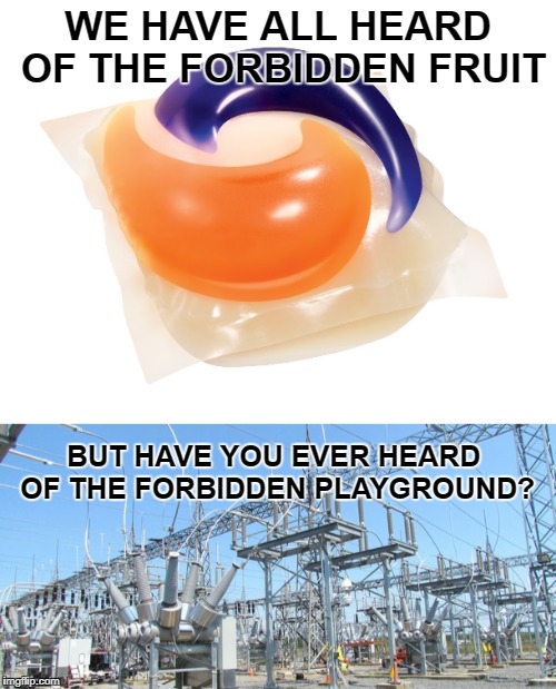 childhood memories | WE HAVE ALL HEARD OF THE FORBIDDEN FRUIT; BUT HAVE YOU EVER HEARD OF THE FORBIDDEN PLAYGROUND? | image tagged in memes,trhtimmy,tide pod,tide pods,forbidden fruit | made w/ Imgflip meme maker
