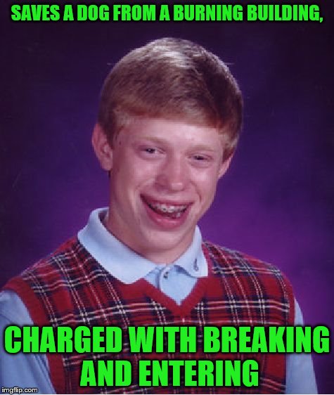 Bad Luck Brian Meme | SAVES A DOG FROM A BURNING BUILDING, CHARGED WITH BREAKING AND ENTERING | image tagged in memes,bad luck brian | made w/ Imgflip meme maker