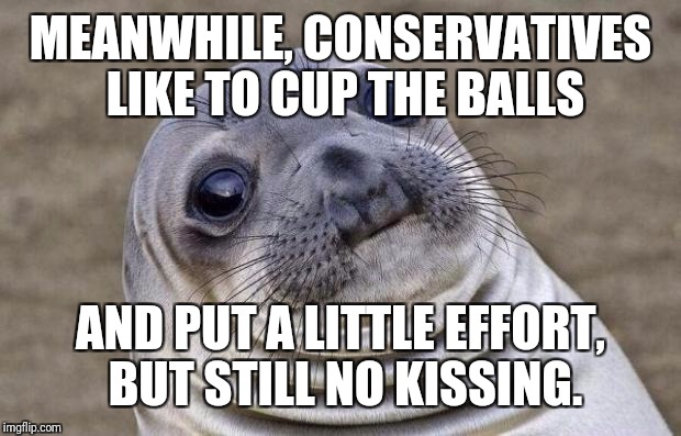 Awkward Moment Sealion Meme | MEANWHILE, CONSERVATIVES LIKE TO CUP THE BALLS AND PUT A LITTLE EFFORT, BUT STILL NO KISSING. | image tagged in memes,awkward moment sealion | made w/ Imgflip meme maker