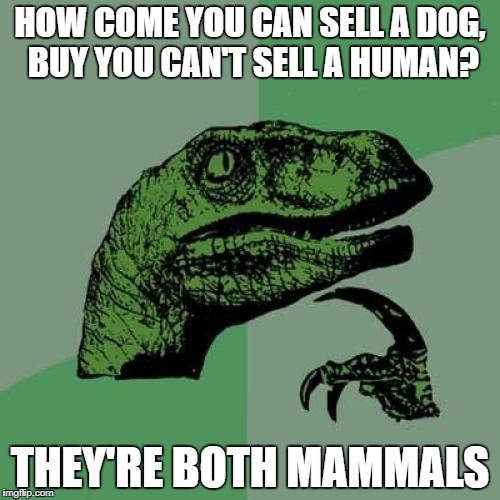 Philosoraptor | HOW COME YOU CAN SELL A DOG, BUY YOU CAN'T SELL A HUMAN? THEY'RE BOTH MAMMALS | image tagged in memes,philosoraptor,dogs,humans,money,human | made w/ Imgflip meme maker