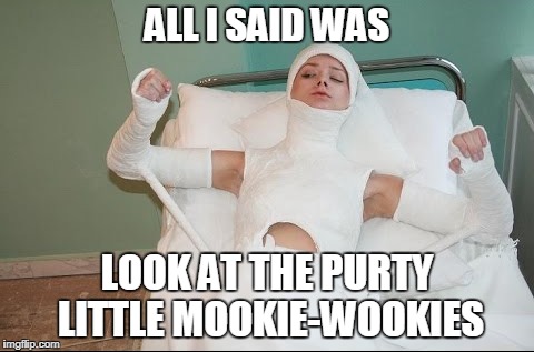 ALL I SAID WAS LOOK AT THE PURTY LITTLE MOOKIE-WOOKIES | made w/ Imgflip meme maker