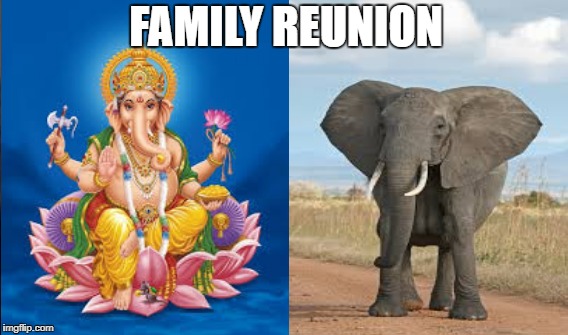 FAMILY REUNION | FAMILY REUNION | image tagged in memes | made w/ Imgflip meme maker