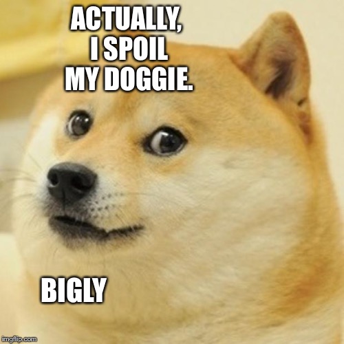 Doge Meme | ACTUALLY, I SPOIL MY DOGGIE. BIGLY | image tagged in memes,doge | made w/ Imgflip meme maker