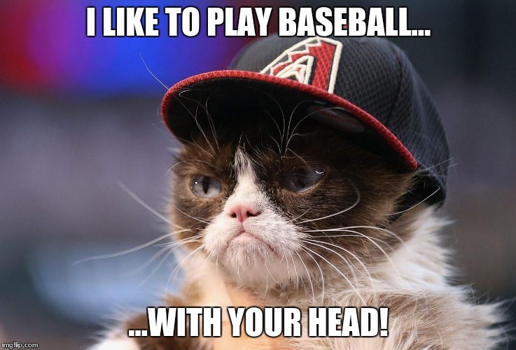 why grummpy cat plays baseball | I LIKE TO PLAY BASEBALL... ...WITH YOUR HEAD! | image tagged in baseball,grumpy cat,memes | made w/ Imgflip meme maker