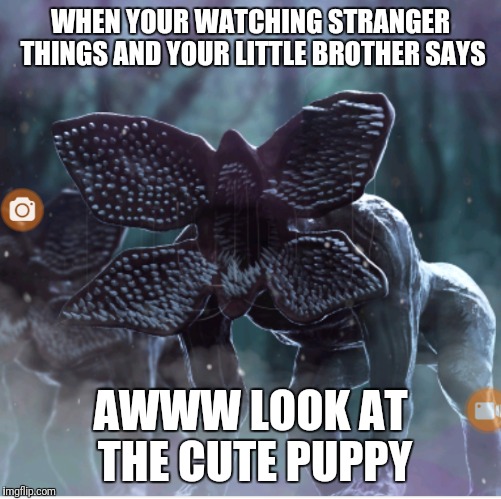 Stranger things meme | WHEN YOUR WATCHING STRANGER THINGS AND YOUR LITTLE BROTHER SAYS; AWWW LOOK AT THE CUTE PUPPY | image tagged in stranger things | made w/ Imgflip meme maker