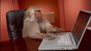 High Quality Office Monkey Computer Despair Blank Meme Template