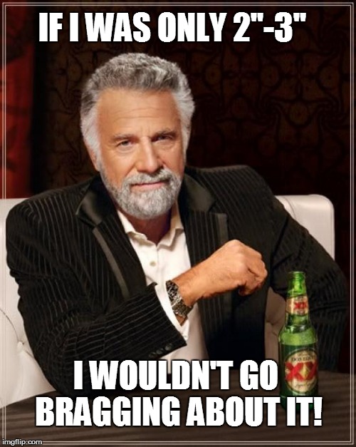 The Most Interesting Man In The World Meme | IF I WAS ONLY 2"-3" I WOULDN'T GO BRAGGING ABOUT IT! | image tagged in memes,the most interesting man in the world | made w/ Imgflip meme maker