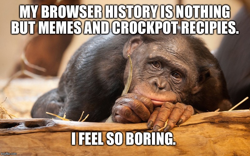 MY BROWSER HISTORY IS NOTHING BUT MEMES AND CROCKPOT RECIPIES. I FEEL SO BORING. | made w/ Imgflip meme maker
