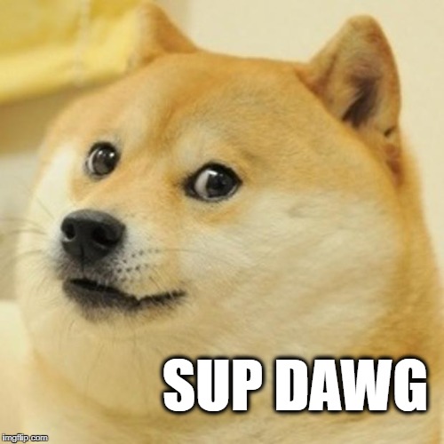 Doge Meme | SUP DAWG | image tagged in memes,doge | made w/ Imgflip meme maker