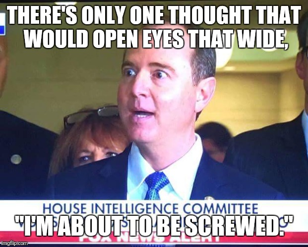 Adam's about to be Schiffed. | THERE'S ONLY ONE THOUGHT THAT WOULD OPEN EYES THAT WIDE, "I'M ABOUT TO BE SCREWED." | image tagged in political meme,politics,releasethememo,hillary clinton,obama | made w/ Imgflip meme maker