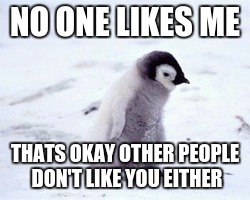Penguin | NO ONE LIKES ME; THATS OKAY OTHER PEOPLE DON'T LIKE YOU EITHER | image tagged in penguin | made w/ Imgflip meme maker
