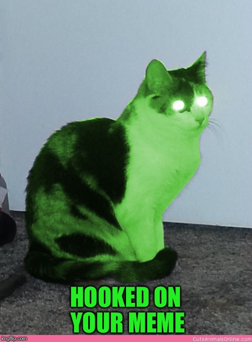 Hypno Raycat | HOOKED ON YOUR MEME | image tagged in hypno raycat | made w/ Imgflip meme maker