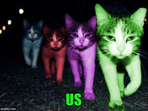 Wrong Neighborhood RayCats | US | image tagged in wrong neighborhood raycats | made w/ Imgflip meme maker