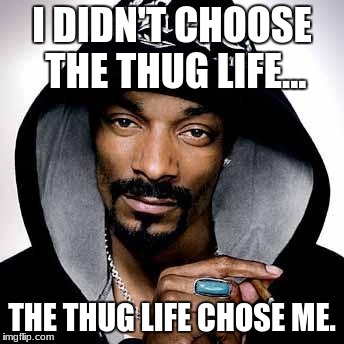 Snoop dogg | I DIDN'T CHOOSE THE THUG LIFE... THE THUG LIFE CHOSE ME. | image tagged in snoop dogg | made w/ Imgflip meme maker