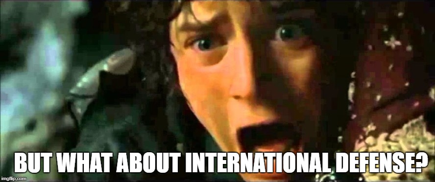 Frodo - noo edited to size | BUT WHAT ABOUT INTERNATIONAL DEFENSE? | image tagged in frodo - noo edited to size | made w/ Imgflip meme maker