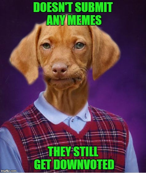 I still do what I do! | DOESN'T SUBMIT ANY MEMES; THEY STILL GET DOWNVOTED | image tagged in bad luck raydog,memes,trolls,funny,dogs,animals | made w/ Imgflip meme maker