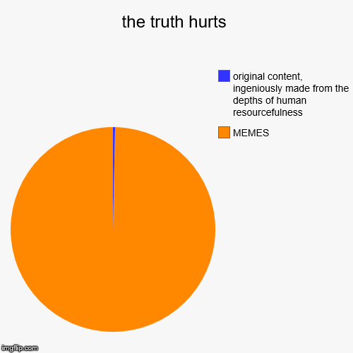 the truth hurts | MEMES, original content, ingeniously made from the depths of human resourcefulness | image tagged in funny,pie charts | made w/ Imgflip chart maker