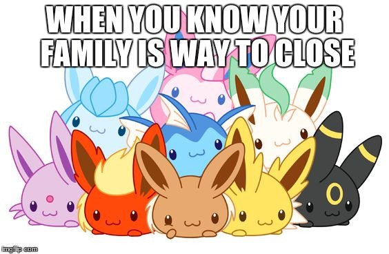 hah too close for comfort   | WHEN YOU KNOW YOUR FAMILY IS WAY TO CLOSE | image tagged in eevee | made w/ Imgflip meme maker