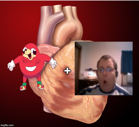 I ship Ugandan knuckles and Numa Numa guy ( sarcasm ); Shipping in a nutshell  | + | image tagged in shipping,ugandan knuckles,funny memes | made w/ Imgflip meme maker