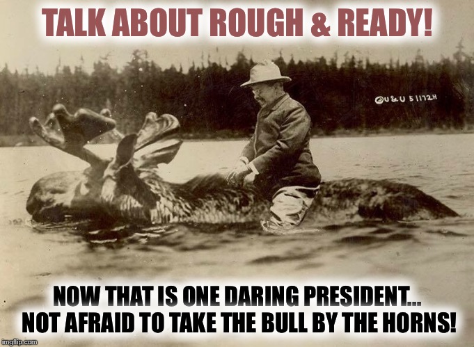 Teddy Roosevelt wasn’t afraid of Bullwinkle  |  TALK ABOUT ROUGH & READY! NOW THAT IS ONE DARING PRESIDENT... NOT AFRAID TO TAKE THE BULL BY THE HORNS! | image tagged in teddy roosevelt,moose,yellowstone,rough  ready | made w/ Imgflip meme maker