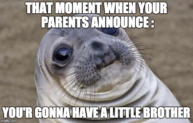 Awkward Moment Sealion | THAT MOMENT WHEN YOUR PARENTS ANNOUNCE :; YOU'R GONNA HAVE A LITTLE BROTHER | image tagged in memes,awkward moment sealion | made w/ Imgflip meme maker