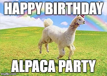 HAPPY BIRTHDAY; ALPACA PARTY | made w/ Imgflip meme maker