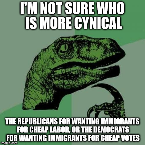 Philosoraptor Meme | I'M NOT SURE WHO IS MORE CYNICAL; THE REPUBLICANS FOR WANTING IMMIGRANTS FOR CHEAP LABOR, OR THE DEMOCRATS FOR WANTING IMMIGRANTS FOR CHEAP VOTES | image tagged in memes,philosoraptor | made w/ Imgflip meme maker