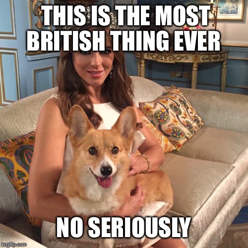 Liz | THIS IS THE MOST BRITISH THING EVER; NO SERIOUSLY | image tagged in liz | made w/ Imgflip meme maker