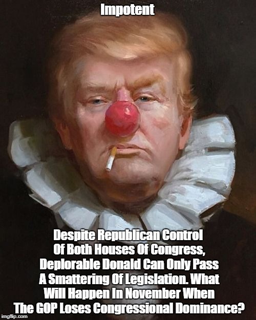 Impotent Despite Republican Control Of Both Houses Of Congress, Deplorable Donald Can Only Pass A Smattering Of Legislation. What Will Happe | made w/ Imgflip meme maker