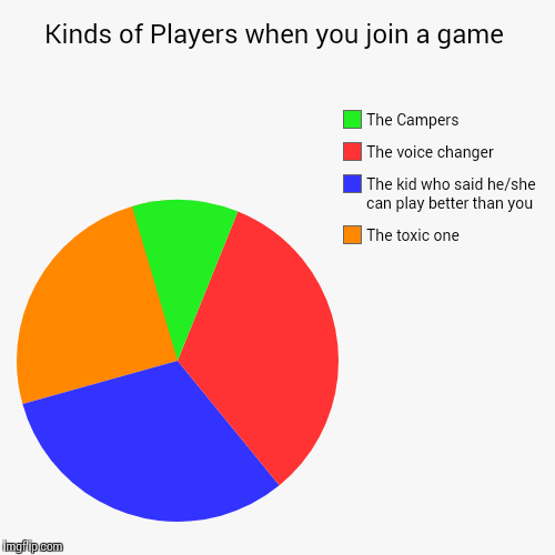 Kinds of Players when you join a game | The toxic one, The kid who said he/she can play better than you, The voice changer, The Campers | image tagged in funny,pie charts | made w/ Imgflip chart maker