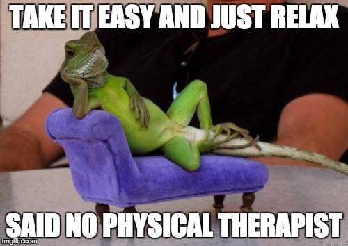 Sassy Iguana | TAKE IT EASY AND JUST RELAX; SAID NO PHYSICAL THERAPIST | image tagged in memes,sassy iguana | made w/ Imgflip meme maker