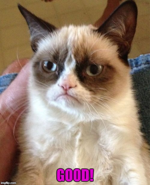Grumpy Cat Meme | GOOD! | image tagged in memes,grumpy cat | made w/ Imgflip meme maker