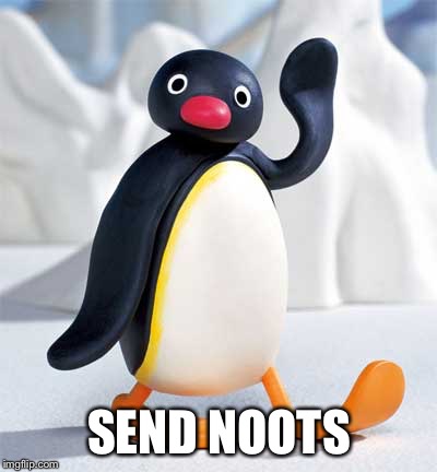 SEND NOOTS | image tagged in pingu | made w/ Imgflip meme maker