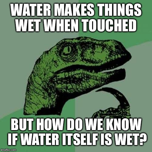 Philosoraptor Meme | WATER MAKES THINGS WET WHEN TOUCHED BUT HOW DO WE KNOW IF WATER ITSELF IS WET? | image tagged in memes,philosoraptor | made w/ Imgflip meme maker