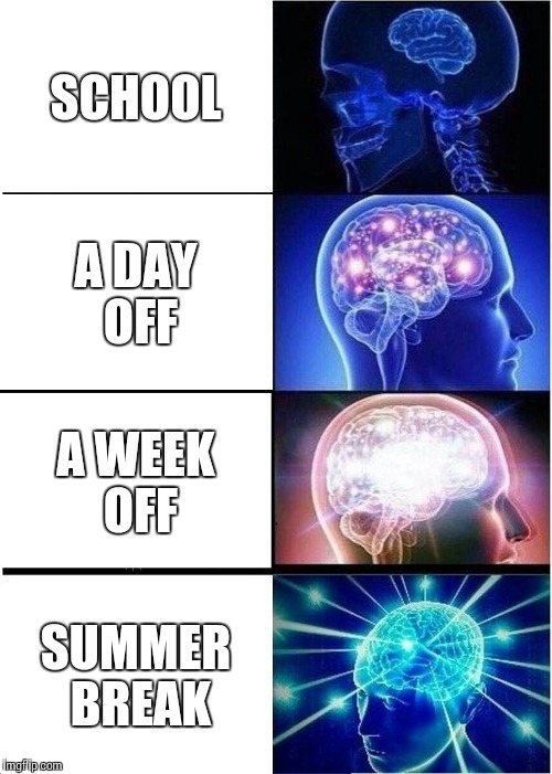 How school bores the average mind | SCHOOL; A DAY OFF; A WEEK OFF; SUMMER BREAK | image tagged in memes,expanding brain | made w/ Imgflip meme maker