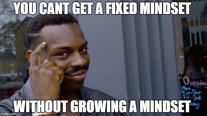 Roll Safe Think About It Meme | YOU CANT GET A FIXED MINDSET; WITHOUT GROWING A MINDSET | image tagged in memes,roll safe think about it | made w/ Imgflip meme maker