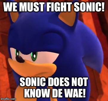 Disappointed Sonic | WE MUST FIGHT SONIC! SONIC DOES NOT KNOW DE WAE! | image tagged in disappointed sonic | made w/ Imgflip meme maker