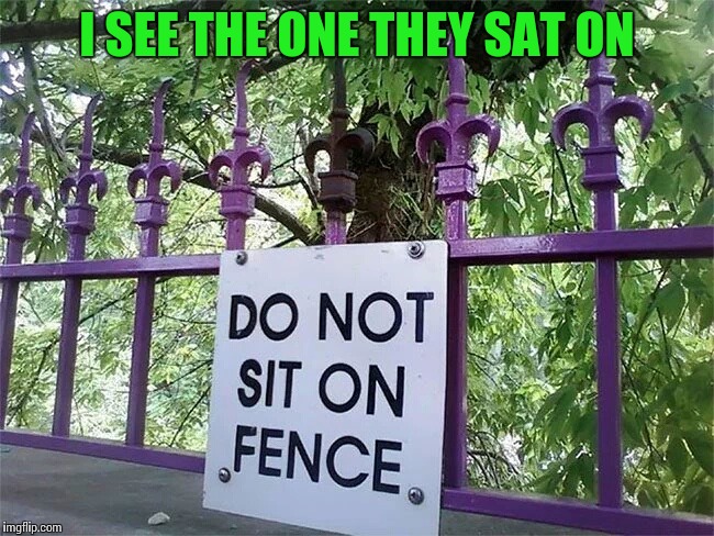 There is always a reason for a sign | I SEE THE ONE THEY SAT ON | image tagged in sign,fence,pipe_picasso | made w/ Imgflip meme maker