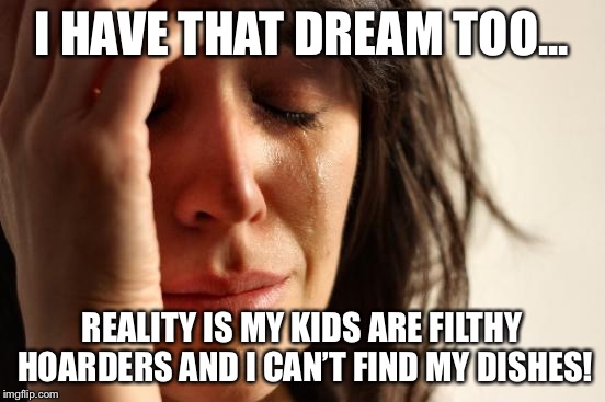 First World Problems Meme | I HAVE THAT DREAM TOO... REALITY IS MY KIDS ARE FILTHY HOARDERS AND I CAN’T FIND MY DISHES! | image tagged in memes,first world problems | made w/ Imgflip meme maker