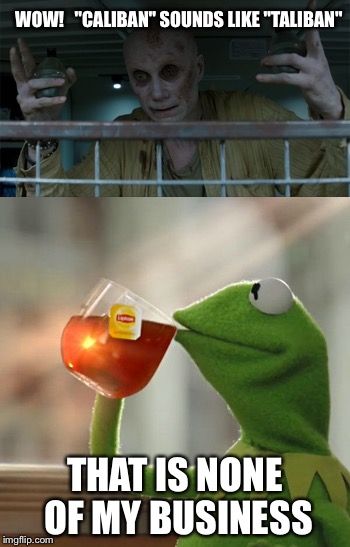 NONE OF MY BUSINESS | WOW!   "CALIBAN" SOUNDS LIKE "TALIBAN"; THAT IS NONE OF MY BUSINESS | image tagged in kermit,but thats none of my business,caliban,taliban,xmen | made w/ Imgflip meme maker
