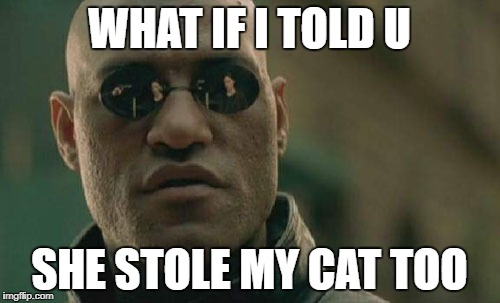 Matrix Morpheus Meme | WHAT IF I TOLD U SHE STOLE MY CAT TOO | image tagged in memes,matrix morpheus | made w/ Imgflip meme maker