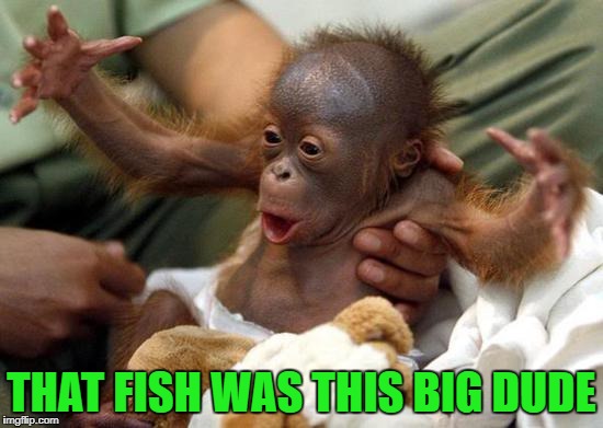 THAT FISH WAS THIS BIG DUDE | made w/ Imgflip meme maker