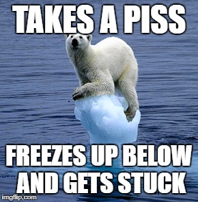 Global Warming Polar Bear | TAKES A PISS; FREEZES UP BELOW AND GETS STUCK | image tagged in global warming polar bear | made w/ Imgflip meme maker