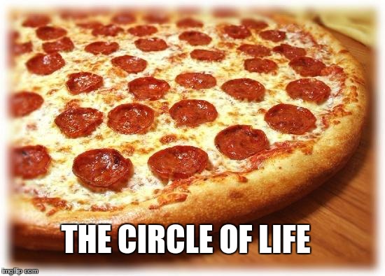 It is for me, anyway | THE CIRCLE OF LIFE | image tagged in coming out pizza | made w/ Imgflip meme maker