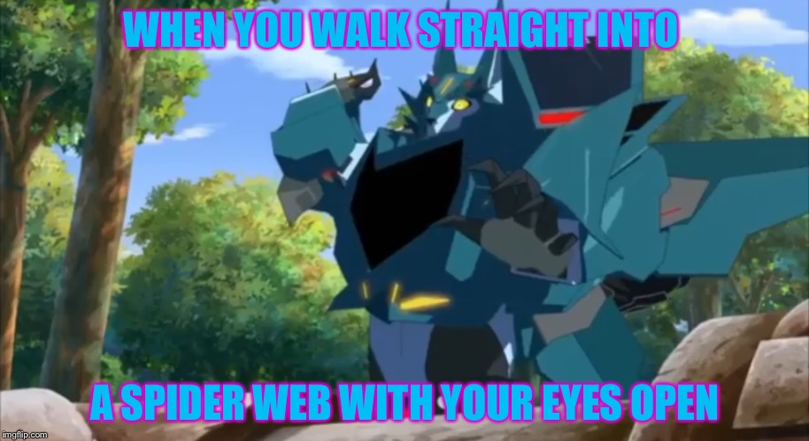 When you walk straight into . . .  | WHEN YOU WALK STRAIGHT INTO; A SPIDER WEB WITH YOUR EYES OPEN | image tagged in transformers rid,steeljaw,dam spiders,doggo's/wolfers | made w/ Imgflip meme maker